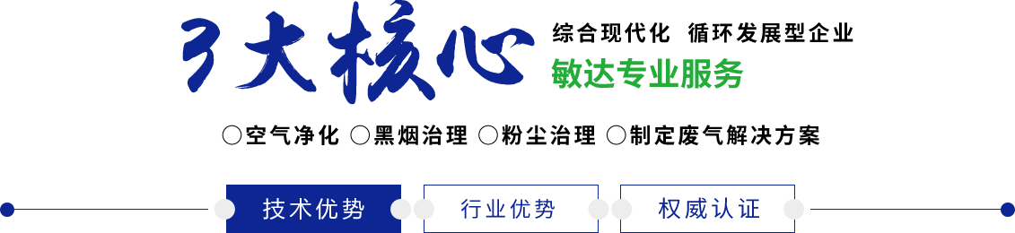 日本抠逼网站敏达环保科技（嘉兴）有限公司